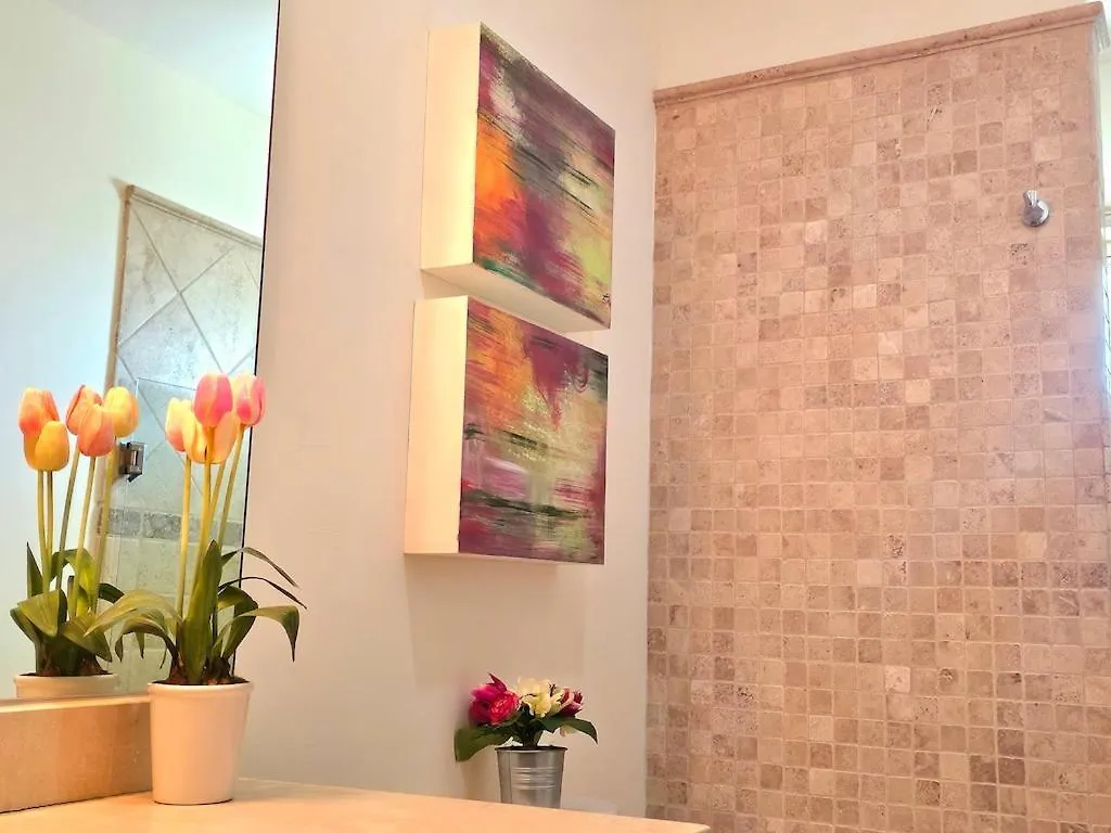 Apartament Wonderful 2 Bedroom Apt A Few Of Minutes To The Beach Cabo San Lucas